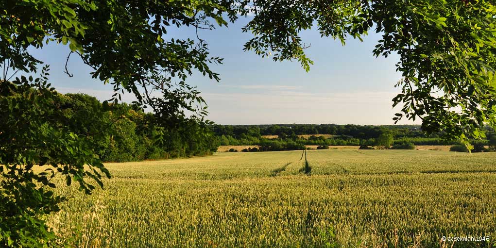 Our Workshop in the UK with the Essex region's LMAs: a call for a less top-down approach and more involvement of stakeholders